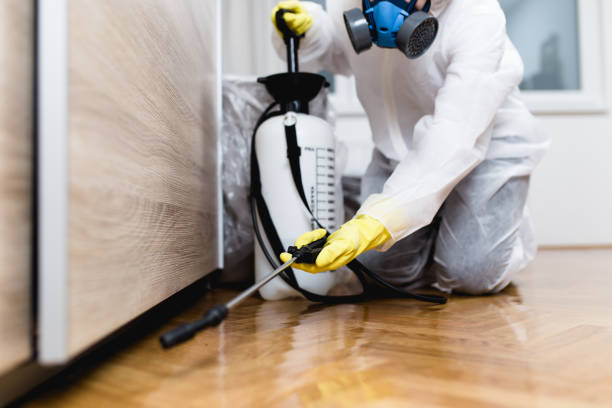 Best Fumigation Services  in Juneau, WI